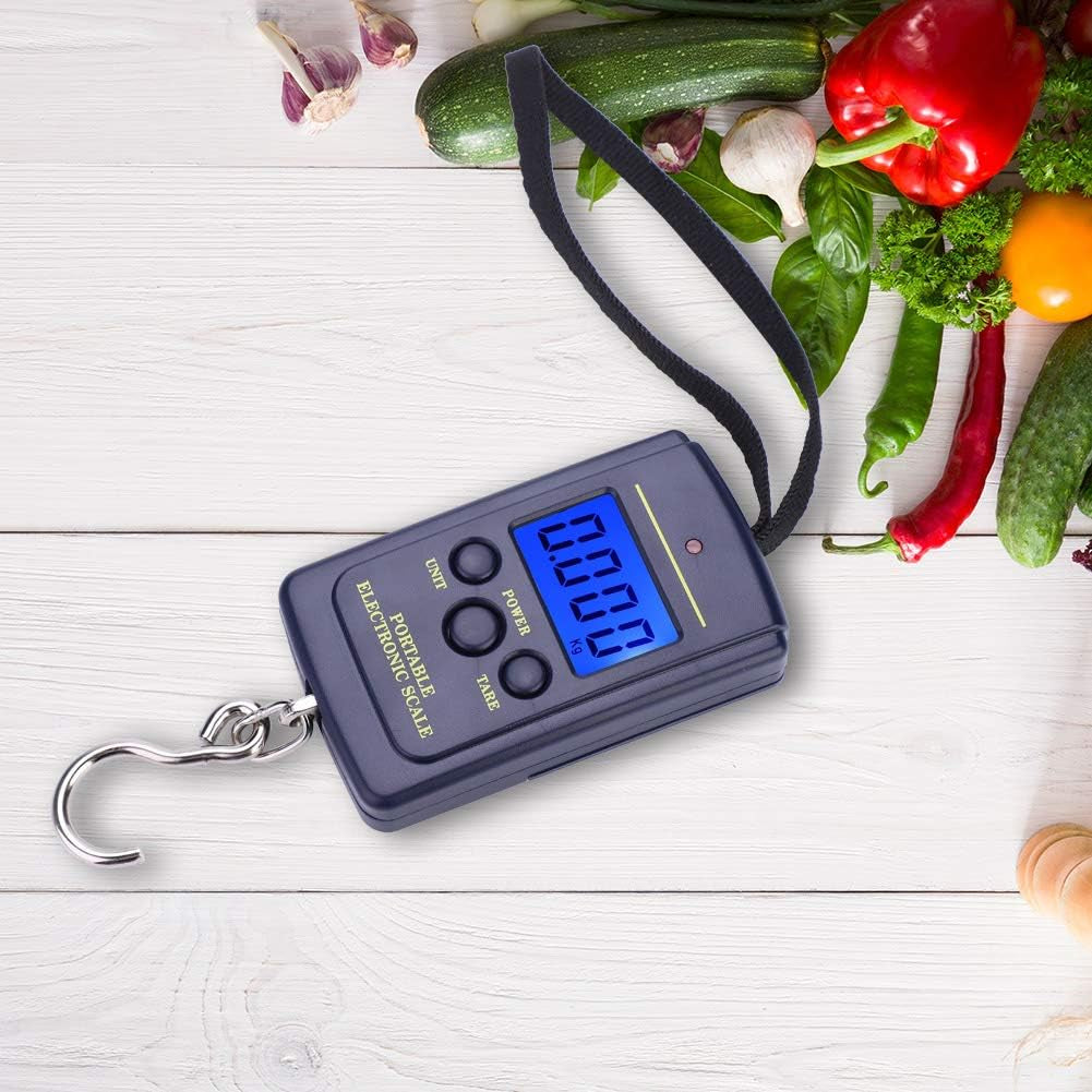 Portable Electric Digital Hanging Scale with Backlit LCD Display and Hook Tool for Fishing, Luggage, Home, and Outdoor Use – Wh A01L, Featuring Fish Scale Design.