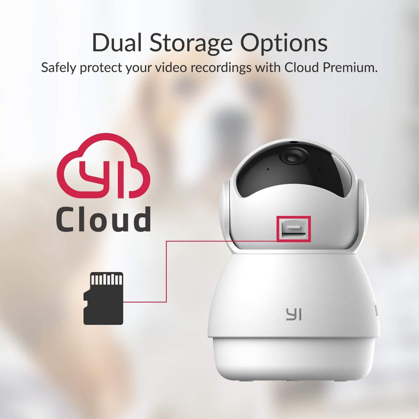 Smart Indoor Pet Dog Cat Cam: 2Pc Pan-Tilt Dome Security Camera with 360 Degree View - 2.4G Wireless - Night Vision - 2-Way Audio - Motion Detection - Phone App - Compatible with Alexa and Google Assistant