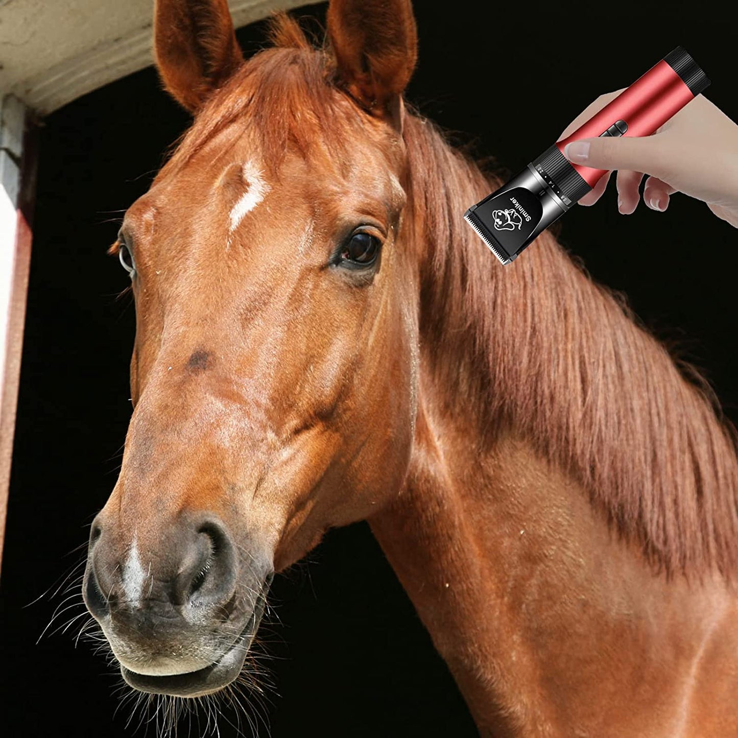 Pet Grooming Kit with Rechargeable Cordless Clippers and Storage Bag - Low Noise Cat and Dog Clippers with 5 Speeds