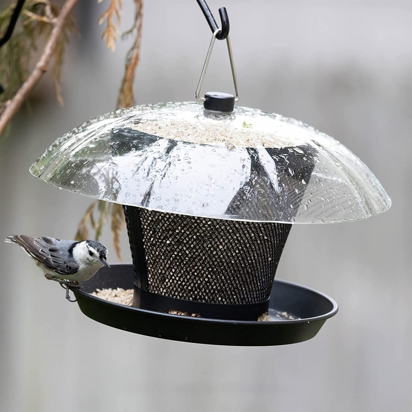 Weatherproof Dual Wild Bird Feeder - Metal Mesh Bird Feeder for Outside with Dome, Offers 2.5 lbs. Seed Capacity for Attracting Finch, Cardinal, and Other Birds.