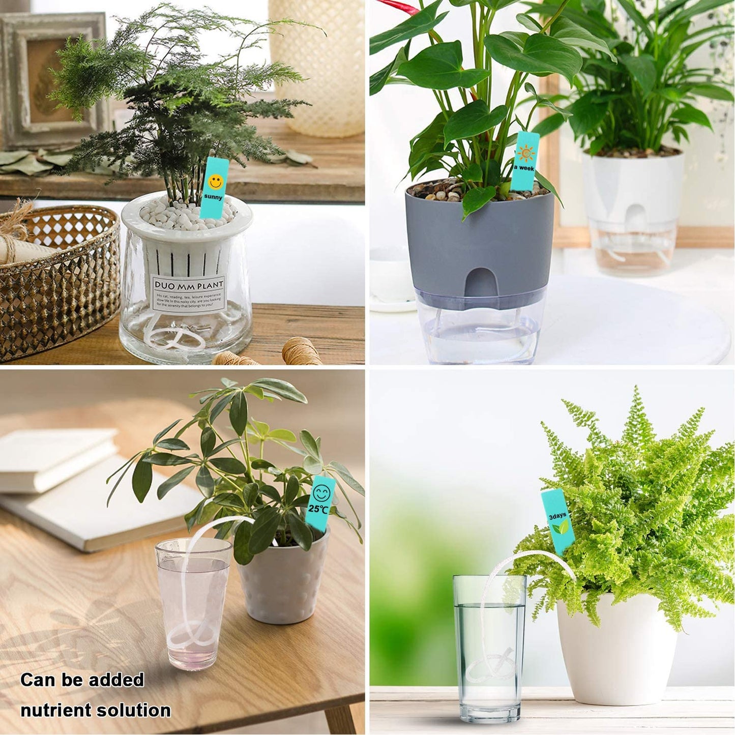 1/6 Inch Self-Watering Wick Cord String: Cotton Rope for Self-Watering Planters and DIY Plant Automatic Watering Device - 40 Feet