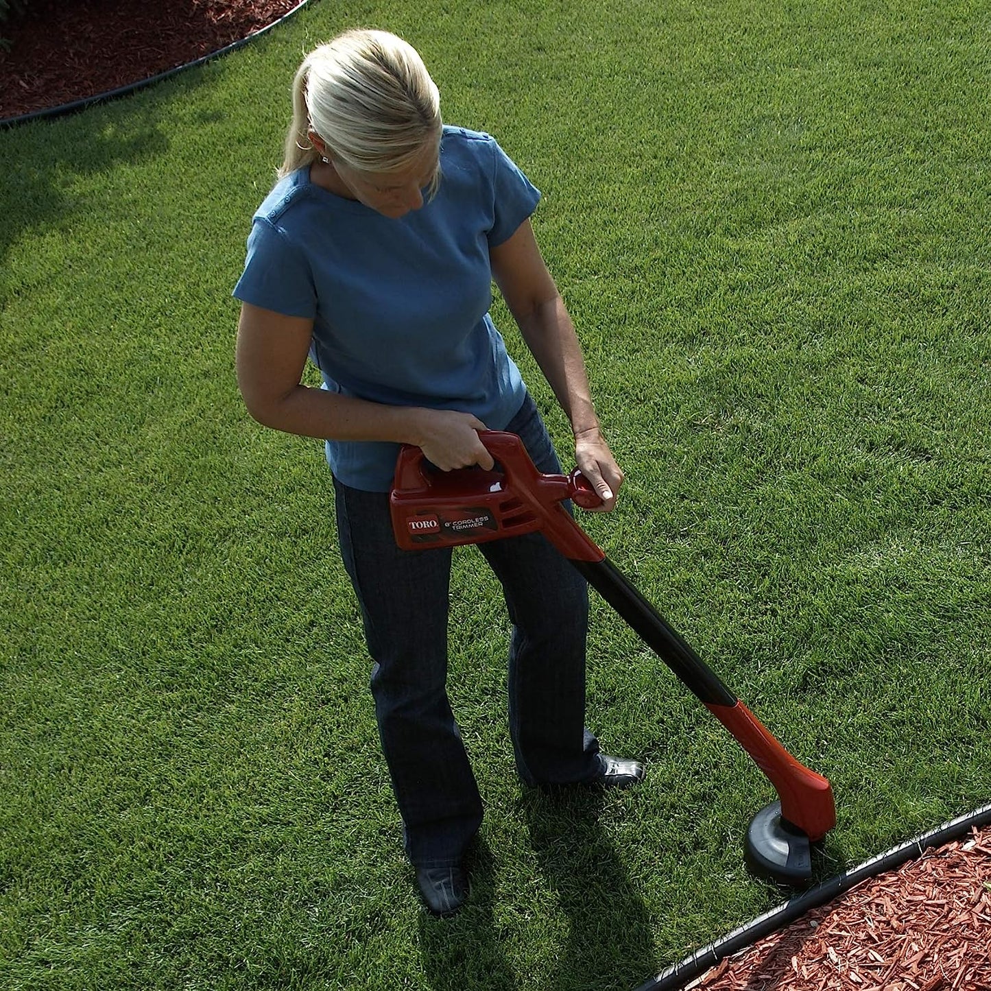 12-Volt Cordless Electric Trimmer with 8-Inch Cutting Capacity