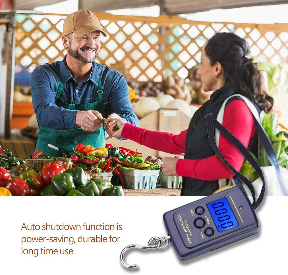 Portable Electric Digital Hanging Scale with Backlit LCD Display and Hook Tool for Fishing, Luggage, Home, and Outdoor Use – Wh A01L, Featuring Fish Scale Design.
