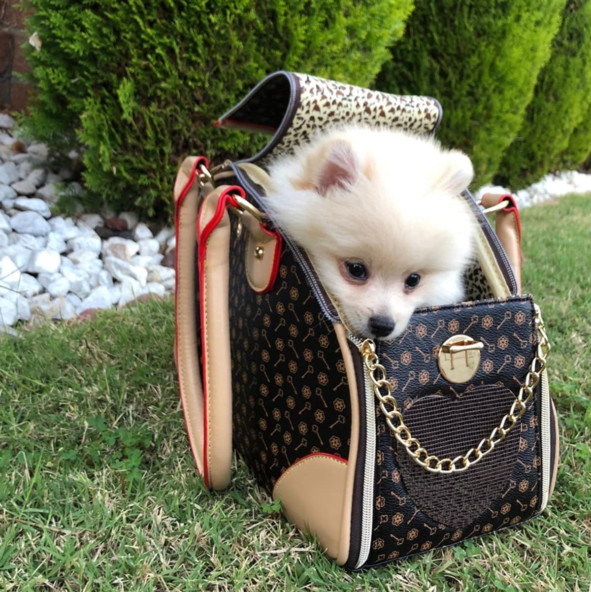 Luxury Waterproof PU Leather Pet Carrier Handbag for Small Dogs and Cats: Ideal for Outdoor Adventures, Travel, and Shopping