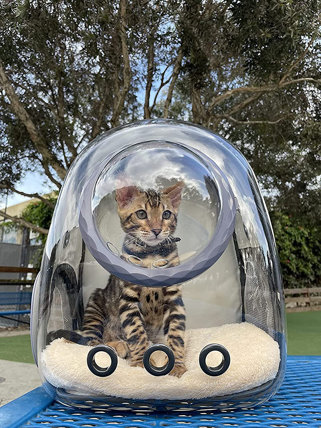 Clear Backpack for Small Pets: Approved for Airline Travel, Waterproof Space Capsule Bubble Design