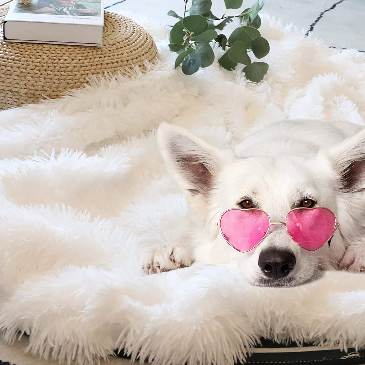 White Fluffy Throw Blanket - Perfect for Couches and Beds. This Soft Faux Fur Blanket is Comfy, Shaggy, Cozy, and Measures 50x60 inches.