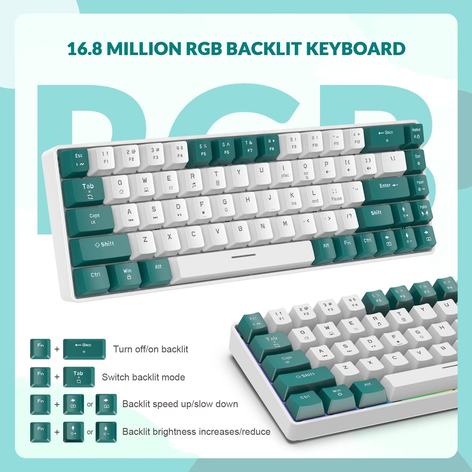 RK-T8 Wired 65% Mechanical Gaming Keyboard - TKL Mini with RGB LED Backlighting, Anti-Ghosting, and Custom Coiled USB-C Cable. Features Tactile Blue Switch for PS4, PS5, Xbox, PC, Mac Gamers. Available in Green/White.