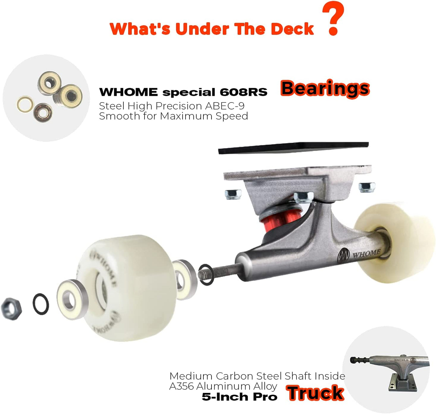 Skateboard for Beginners, Teens, and Kids - 31"x8" Pro Standard Skateboard with 8-ply Alpine Maple Deck, ABEC-9 Bearings, Suitable for Adults, Kids, Boys, and Girls, Includes T-Tool