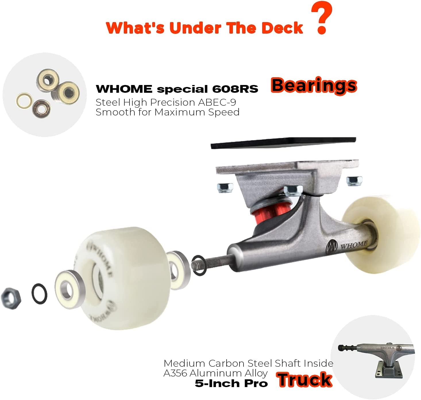 Skateboard for Beginners, Teens, and Kids - 31"x8" Pro Standard Skateboard with 8-ply Alpine Maple Deck, ABEC-9 Bearings, Suitable for Adults, Kids, Boys, and Girls, Includes T-Tool