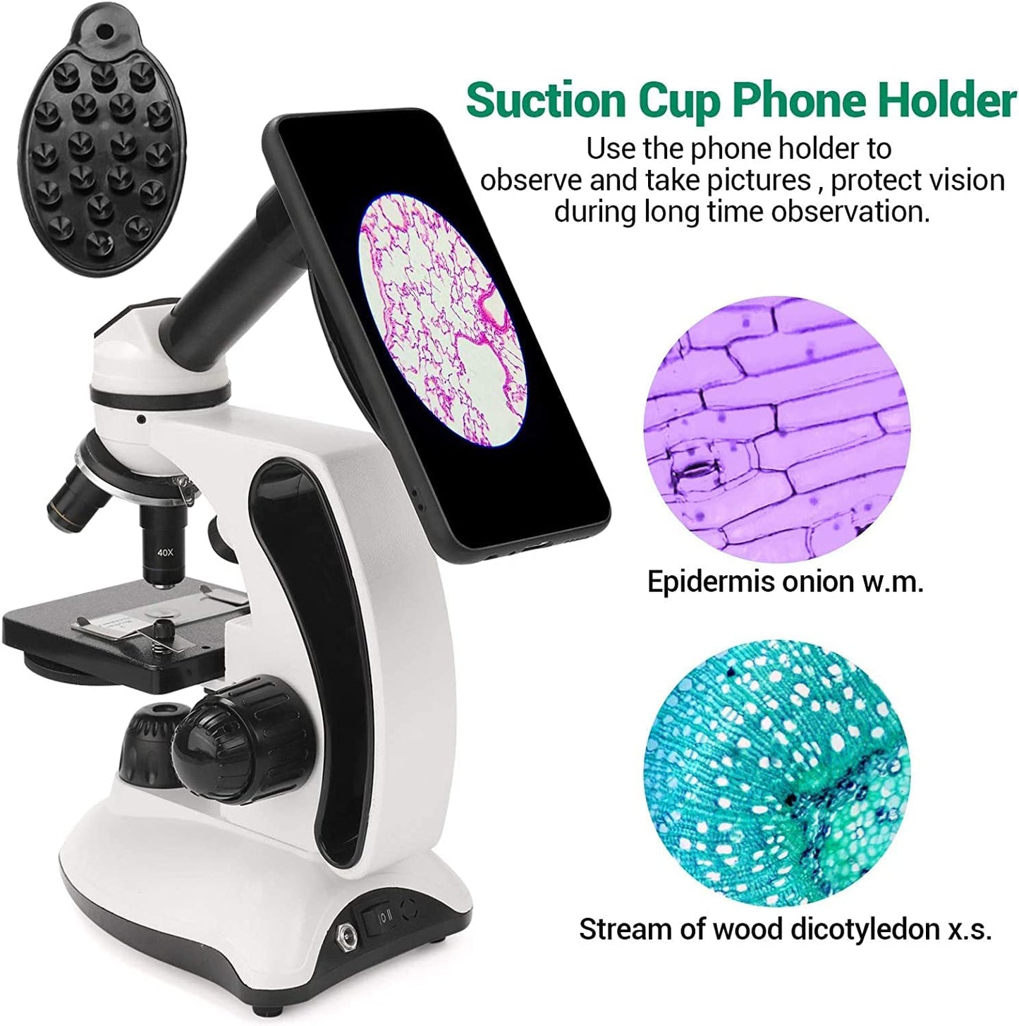 40X-2000X Microscope for Adults and Kids, Lab Compound Monocular Microscope with Prepared Slides Kit, Dual Illumination, All Glass Optics, Smartphone Adapter, Perfect for Beginners