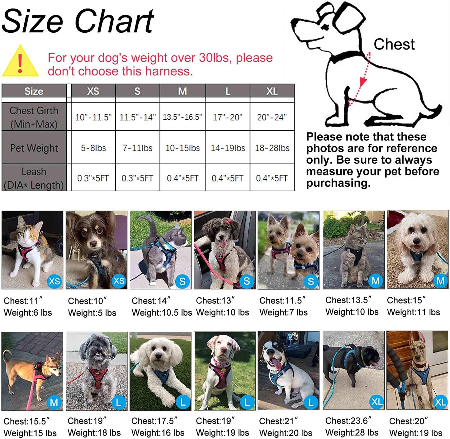 Step-in Breathable Dog Harness - Comfortable Vest Harness for Small to Medium Dogs