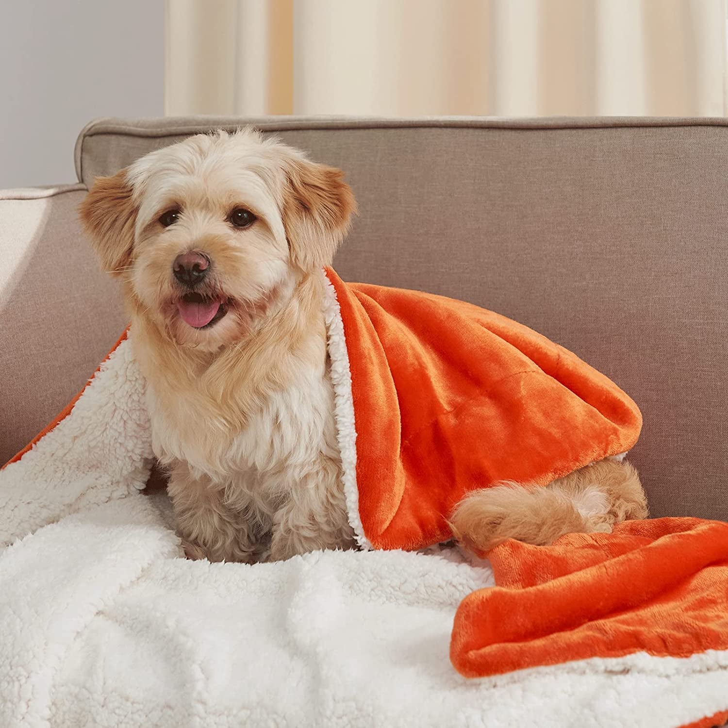 Kids Sherpa Fleece Throw Blanket for Couch - A Winter Warm, Fuzzy, and Soft Blanket measuring 50 inches x 60 inches. It's Velvet Reversible and offers a Luxurious feel. Ideal for home, bed, and school use, and comes in an attractive Orange color.