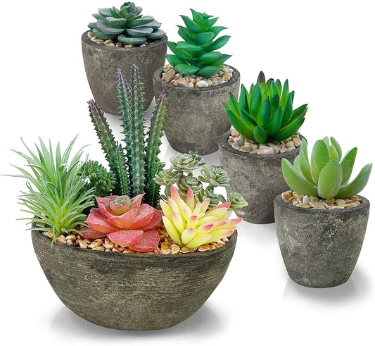 Set of 5 Artificial Succulent Plants with Realistic Appearance and Cement-like Pots for Elegant Home and Office Decoration