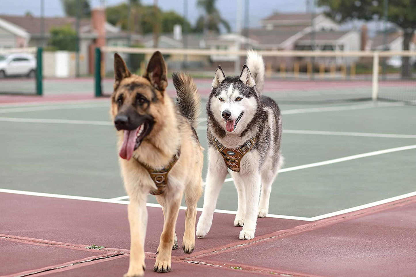 Adjustable Tactical Dog Harness - Designed for Small, Medium, and Large Dogs; Reflective, No Pull, and Suitable for K9 Working, Training, and Military Service; Offers Easy Control and Comfortable Fit.