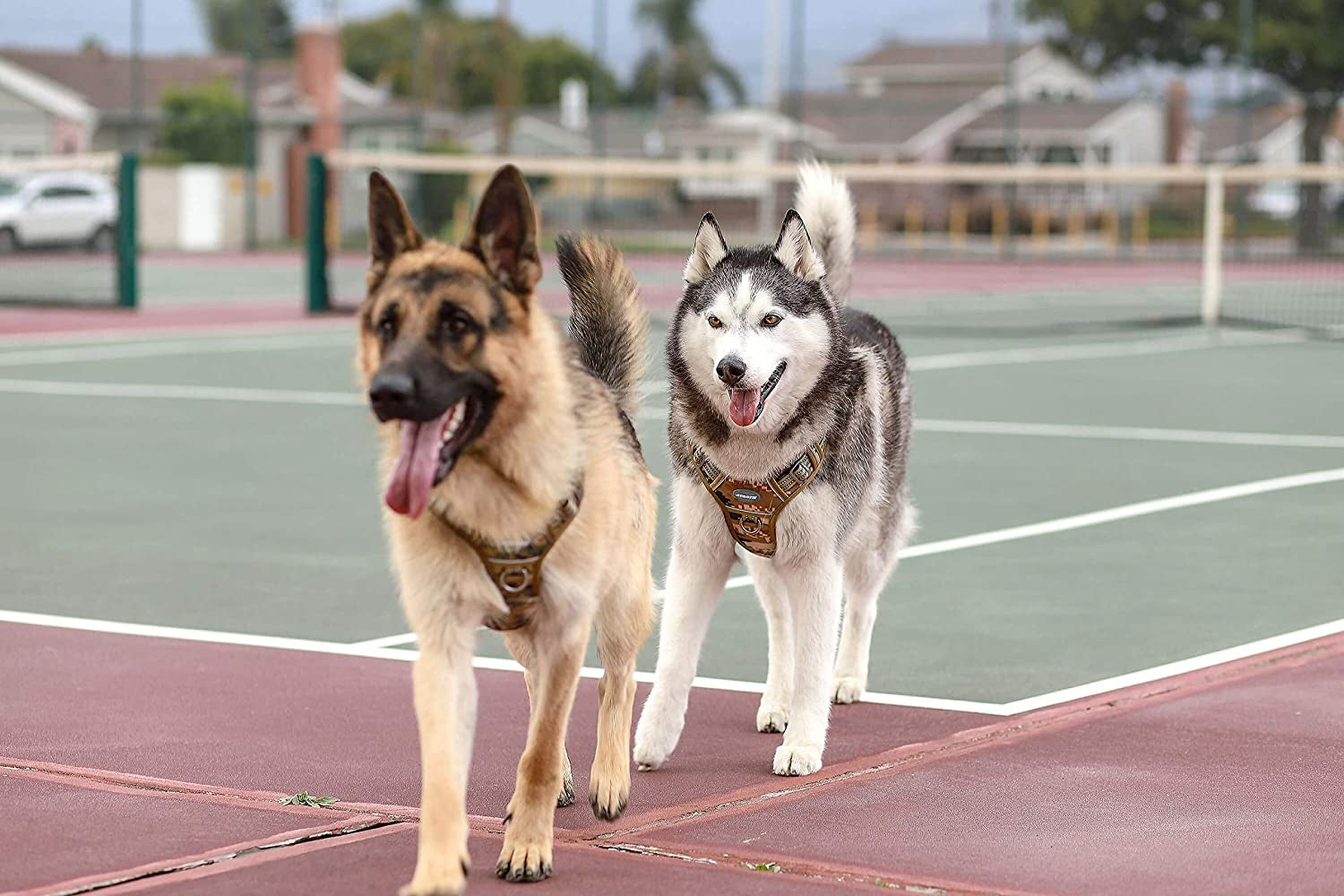 Adjustable Tactical Dog Harness - Designed for Small, Medium, and Large Dogs; Reflective, No Pull, and Suitable for K9 Working, Training, and Military Service; Offers Easy Control and Comfortable Fit.