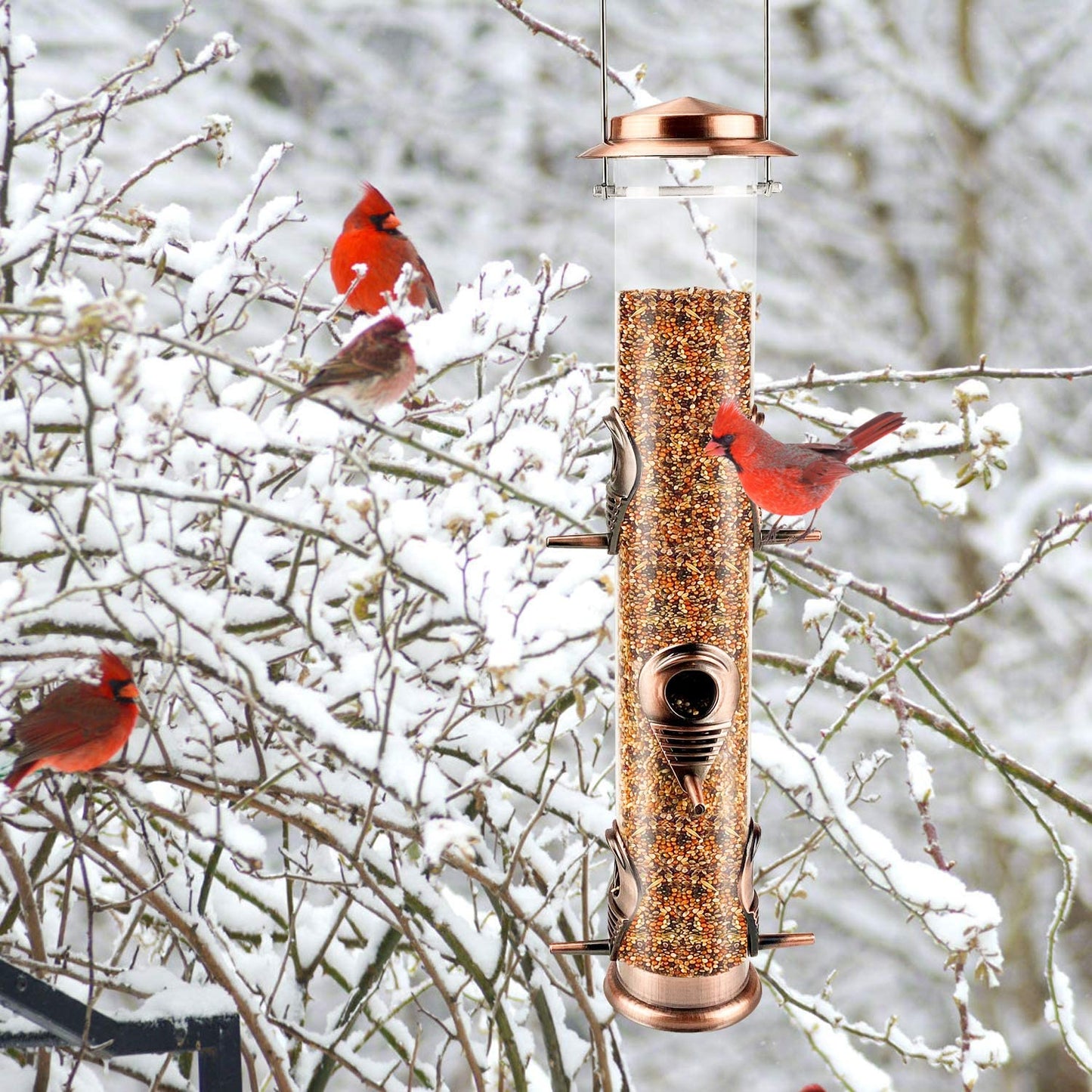 Antique Copper Hanging Bird Feeder - Metal Tube Design with 6 Ports, Attracts Wild Birds to Your Lawn, Garden, and Balcony; Perfect for Outdoor Use