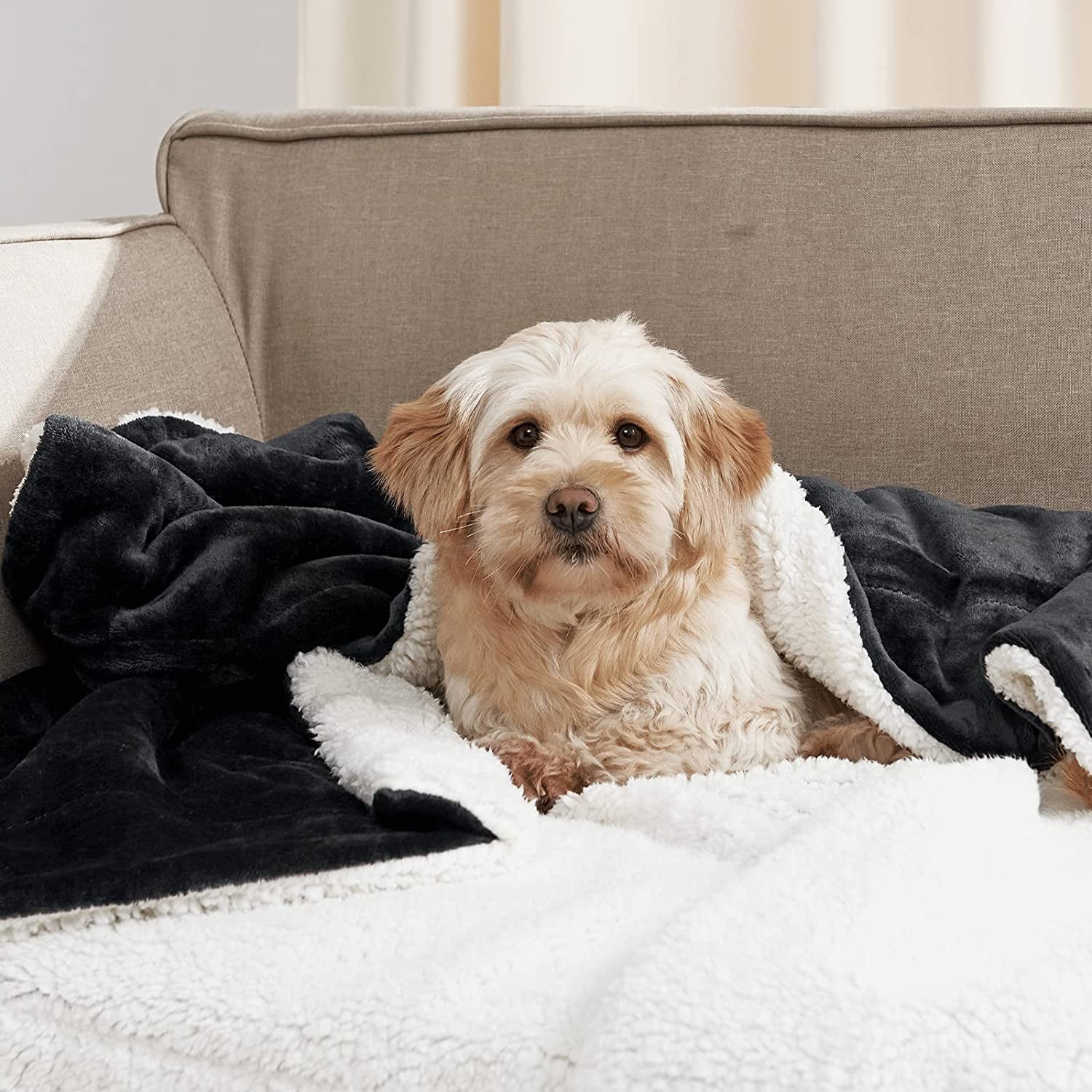 Black Sherpa Fleece Blanket - A Warm, Dual-Sided Fluffy Plush Lap Blanket measuring 50 x 60 inches. Super Soft and ideal for Kids, School Dormitories, Women, Babies, and suitable for All Seasons. A great Gift Throw Blanket.