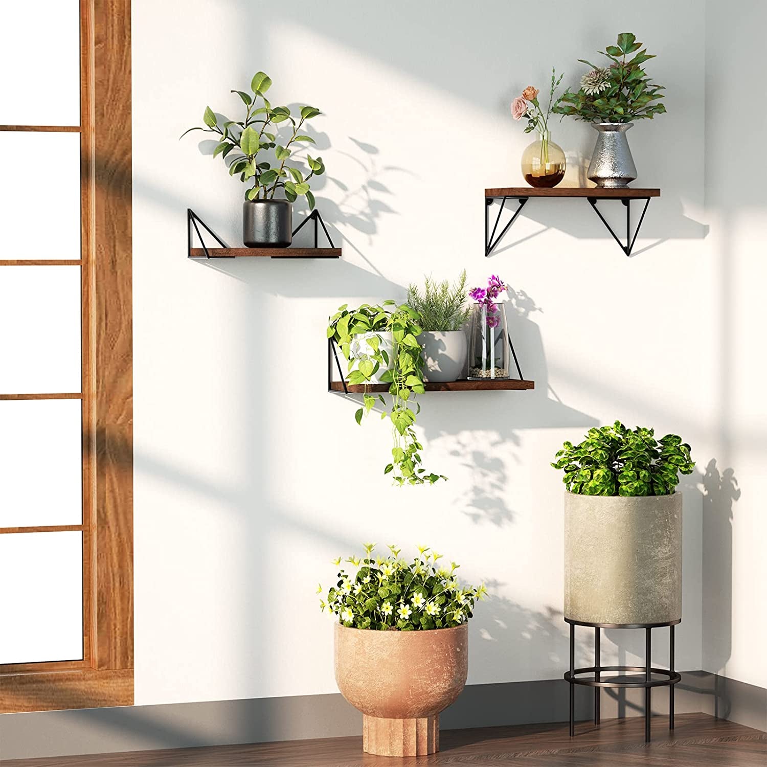 Set of 3 Rustic Wall Mounted Floating Shelves - Ideal for Bedroom, Bathroom, Living Room, Kitchen in Dark Walnut
