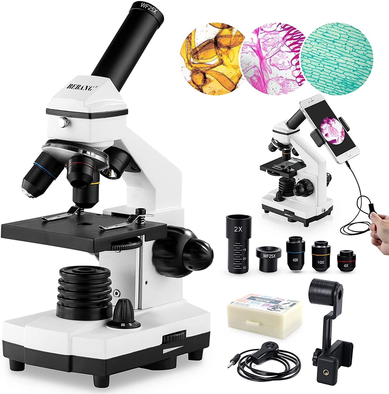 Compound Microscope for Adults and Kids, 100X-2000X Magnification, Microscope Kit with Microscope Slides, Ideal for Students, Home School, and Lab Use