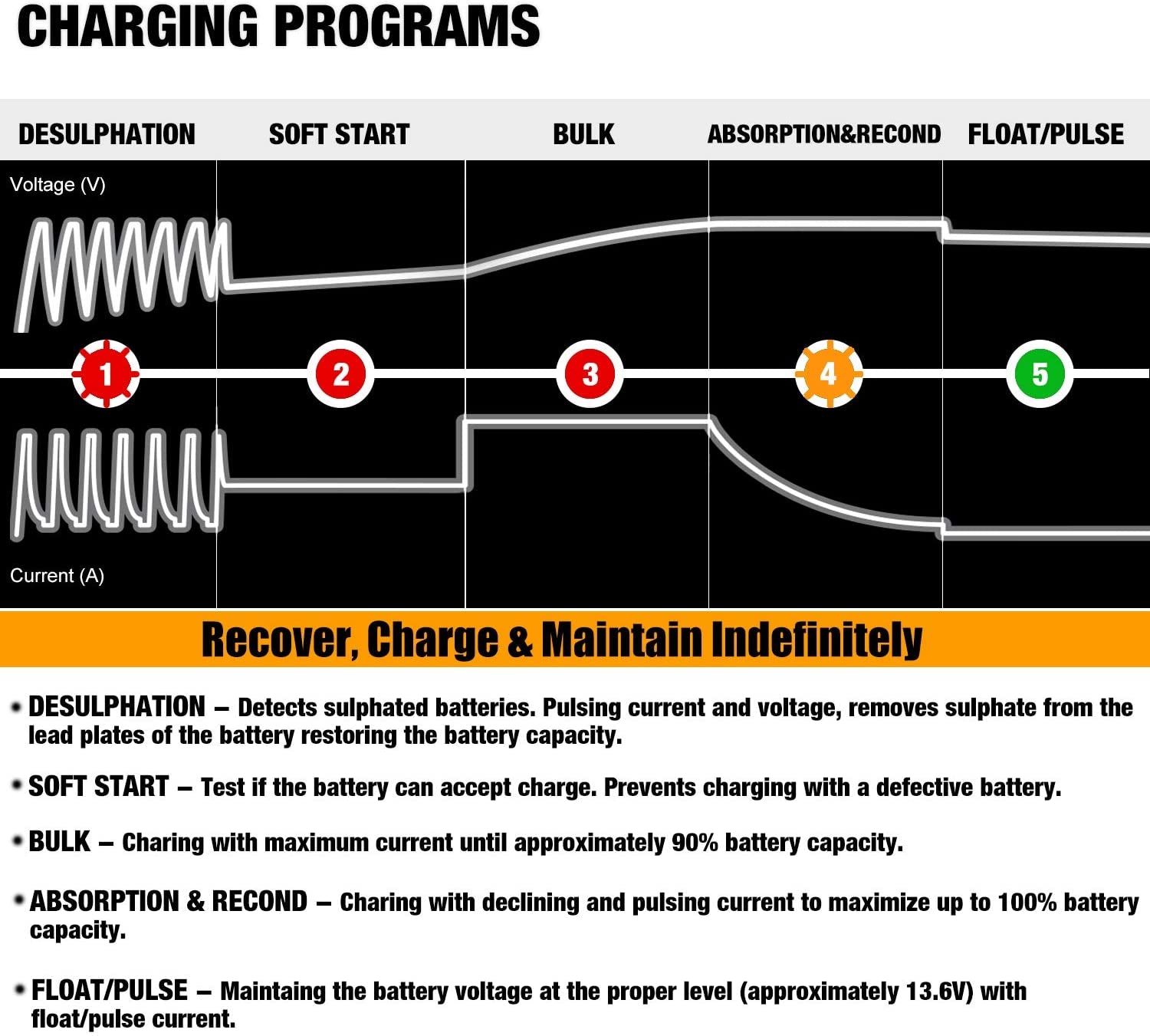 12V 800mA Fully Automatic Battery Charger/Maintainer