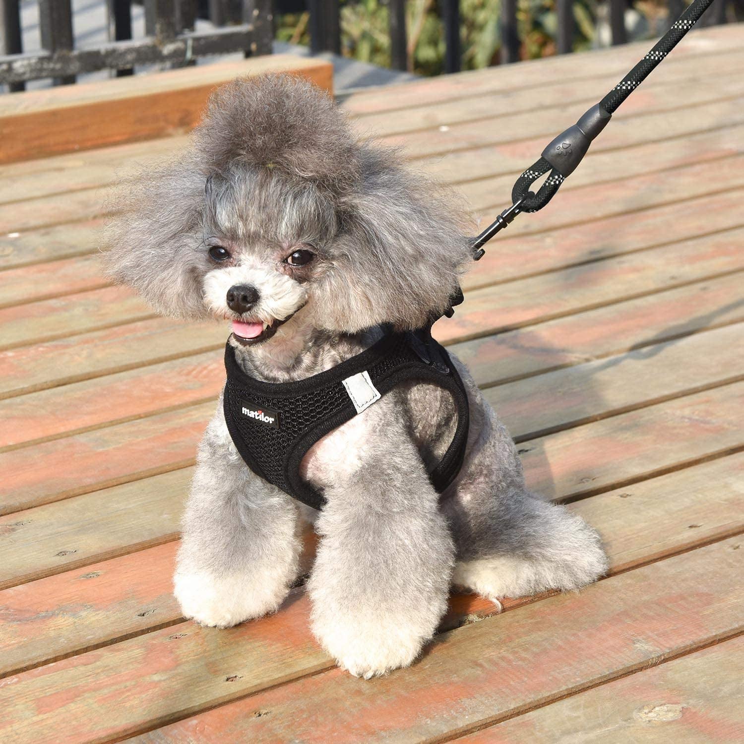 Step-in Breathable Dog Harness - Comfortable Vest Harness for Small to Medium Dogs