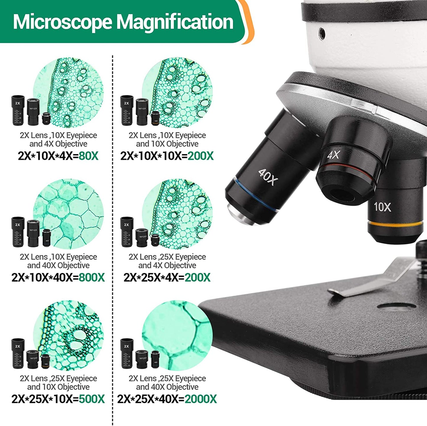 40X-2000X Microscope for Adults and Kids, Lab Compound Monocular Microscope with Prepared Slides Kit, Dual Illumination, All Glass Optics, Smartphone Adapter, Perfect for Beginners