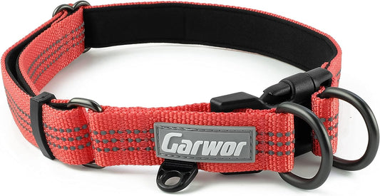 Reflective Dog Collar with Soft Neoprene Padding - Features Double D-Ring for Extra ID Tag Attachment, Buckle Adjustable Safety Nylon Collar designed for Large Dogs; Available in L size and Coral/Red Color.