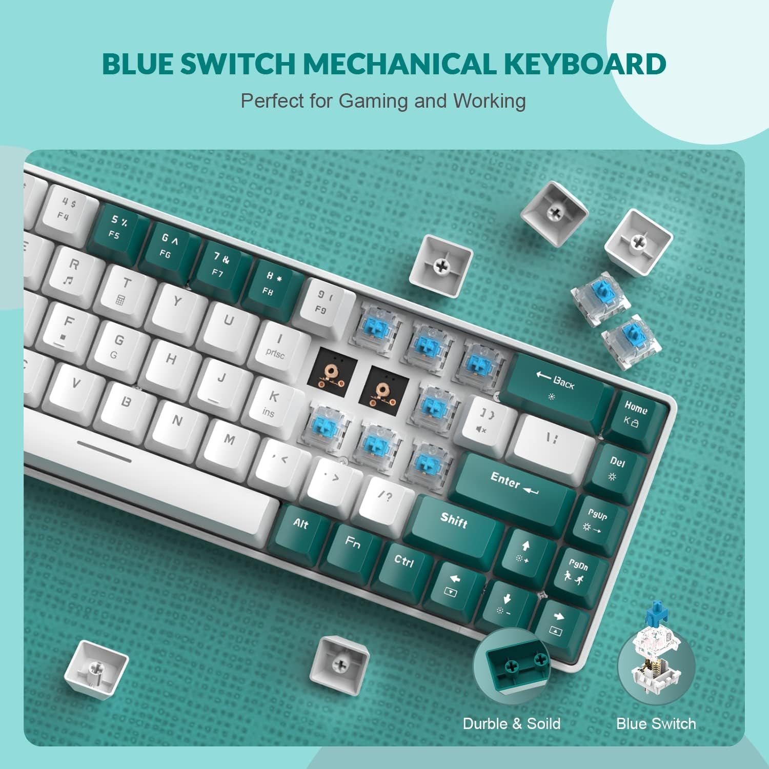 RK-T8 Wired 65% Mechanical Gaming Keyboard - TKL Mini with RGB LED Backlighting, Anti-Ghosting, and Custom Coiled USB-C Cable. Features Tactile Blue Switch for PS4, PS5, Xbox, PC, Mac Gamers. Available in Green/White.