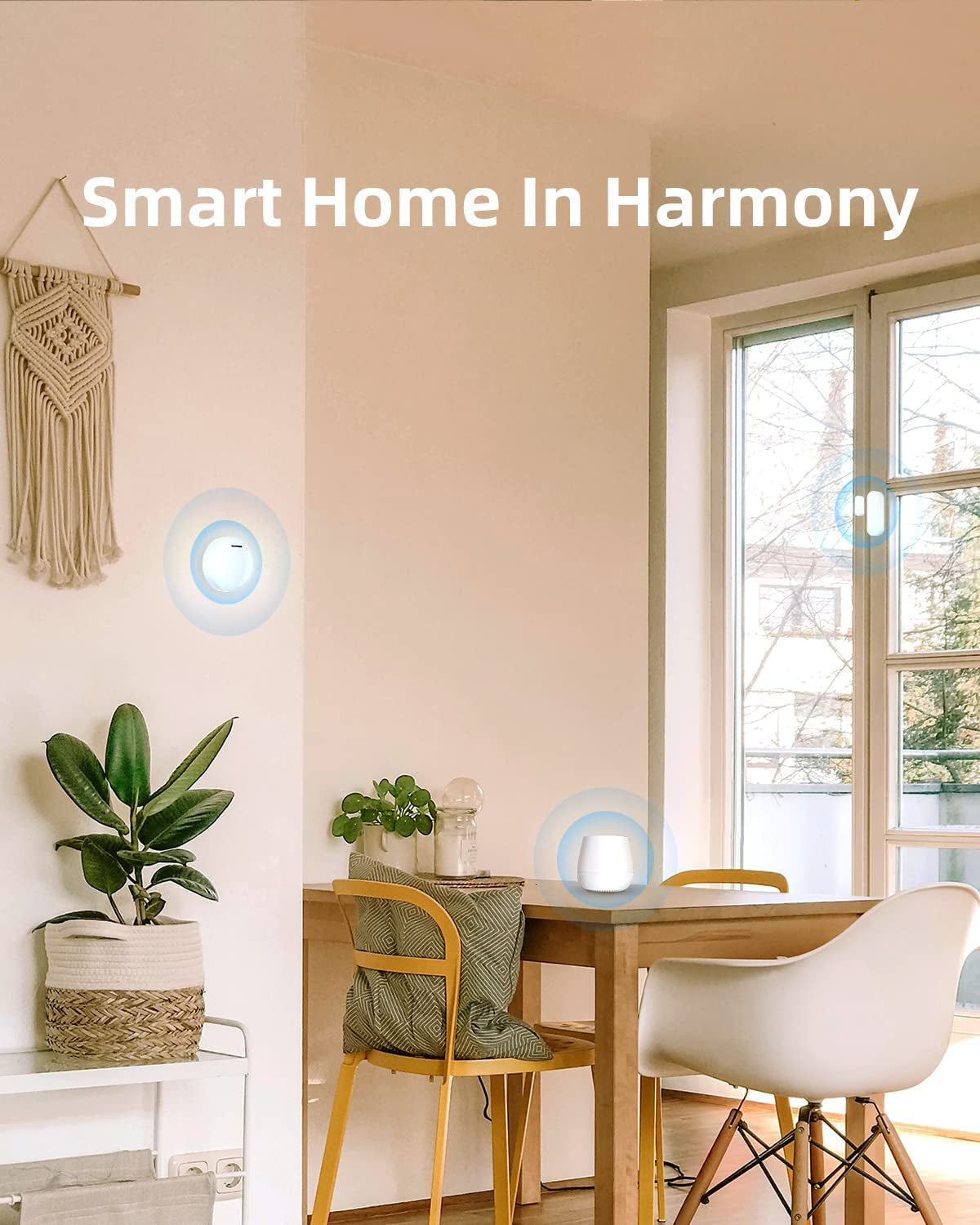 Smart Contact Sensor Alarm for Doors and Windows - Outdoor Chime, 2-Year Battery Life, App Alerts, Night Security System - Requires Noorio Smart Hub for Operation