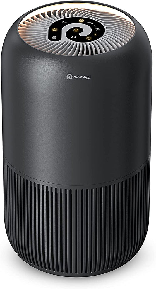 HEPA Air Purifier for Bedroom and Home: Designed to Address Allergies and Pet Concerns. Features True HEPA Activated Carbon Filter for Efficient Air Cleaning. Operates Quietly at 23dB with Pet Mode, Night Light, and 4 Fan Speed Options.