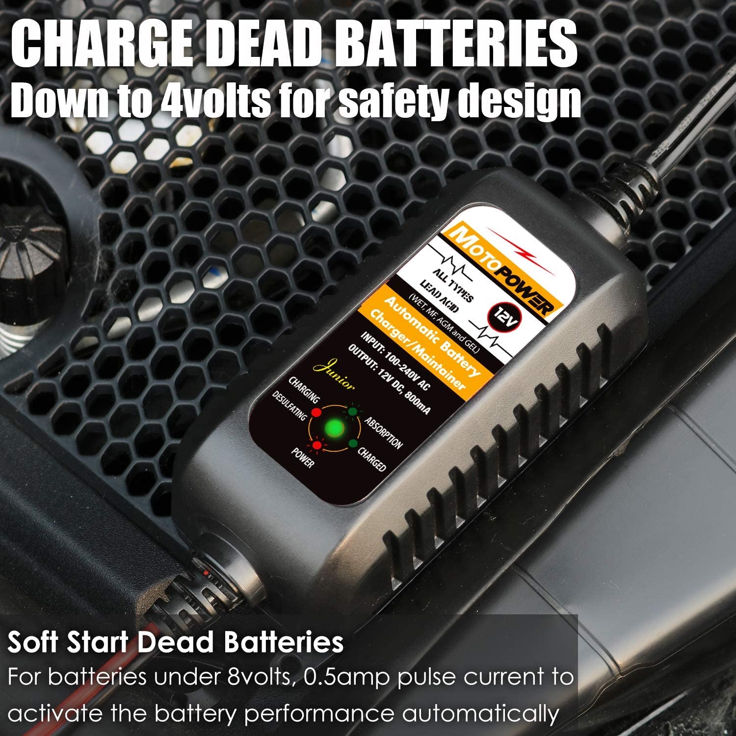 12V 800mA Fully Automatic Battery Charger/Maintainer