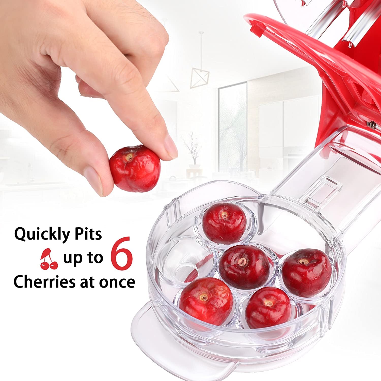Cherry Pitter Tool Cherry Remover