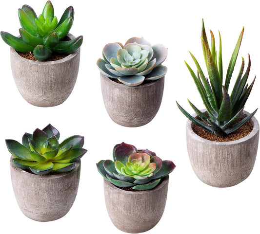 Artificial Succulent Plants Assorted Decorative Faux Succulent Potted Fake Cactus Cacti Plants Gray Pots, Set of 5