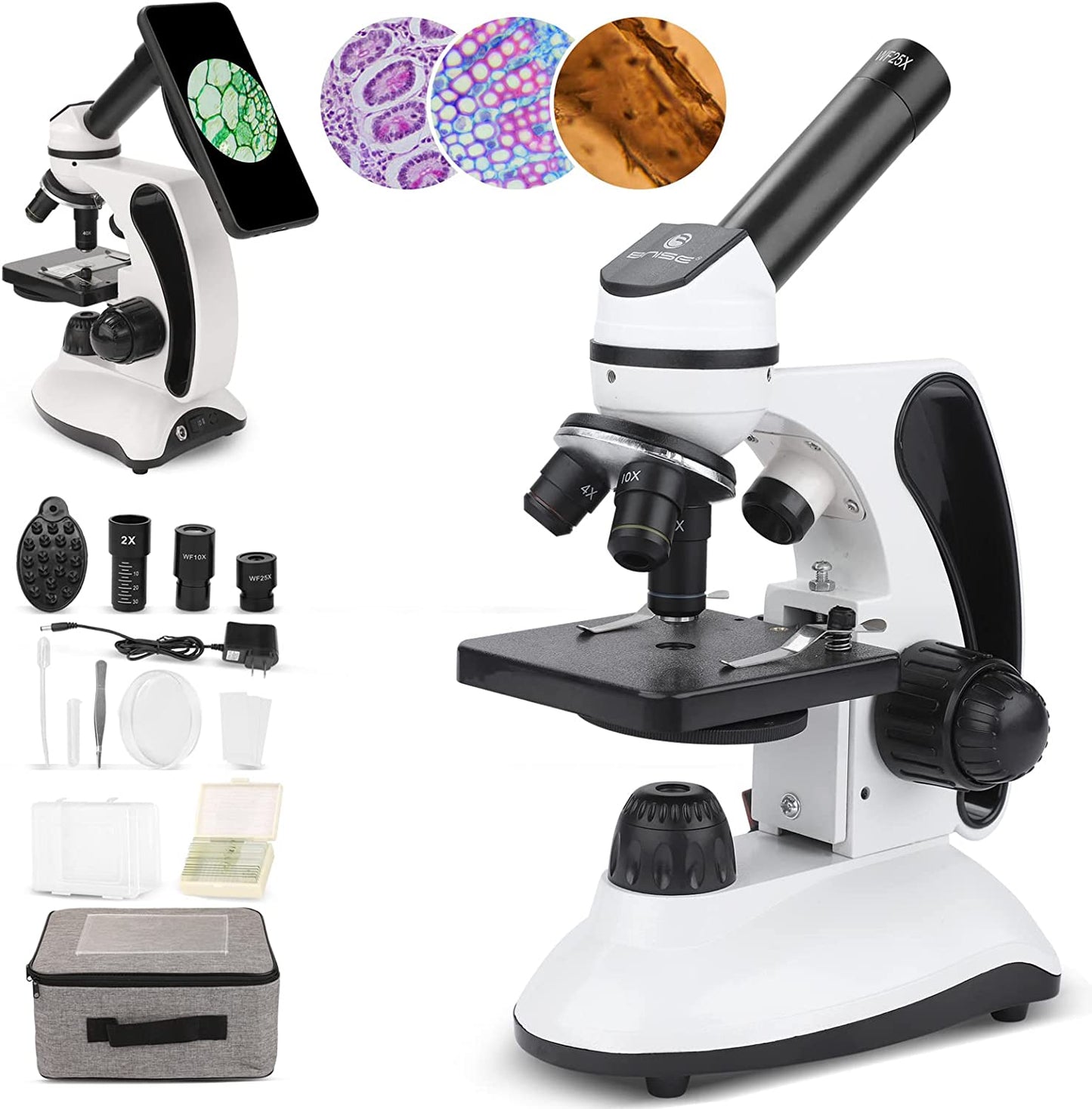 40X-2000X Microscope for Adults and Kids, Lab Compound Monocular Microscope with Prepared Slides Kit, Dual Illumination, All Glass Optics, Smartphone Adapter, Perfect for Beginners