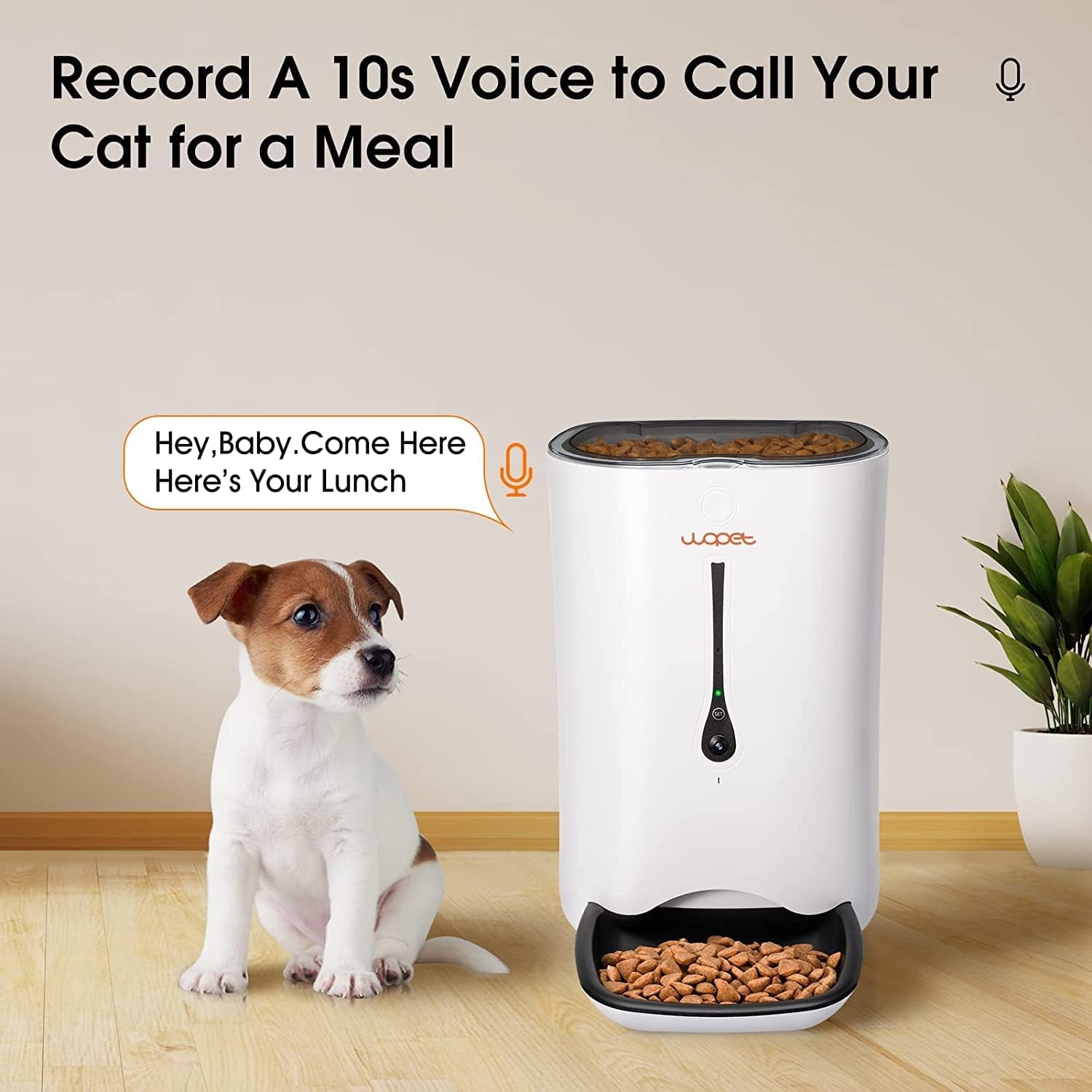 5G WiFi Automatic Cat Feeder - Timer Programmable for Dogs and Cats - 7L Capacity Cat Food Dispenser with App Control - Integrated HD Camera for Voice and Video Recording.