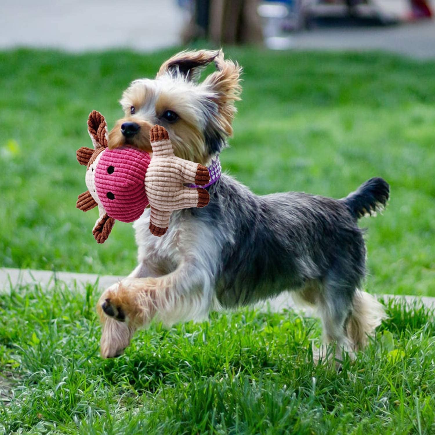 7-Pack Puppy Toys for Small Dogs - Includes Cute Calf Squeaky Dog Toys - Durable Puppy Teething Toys - Rope Puppy Chew Toys - Non-Toxic and Safe for Playful Puppies.