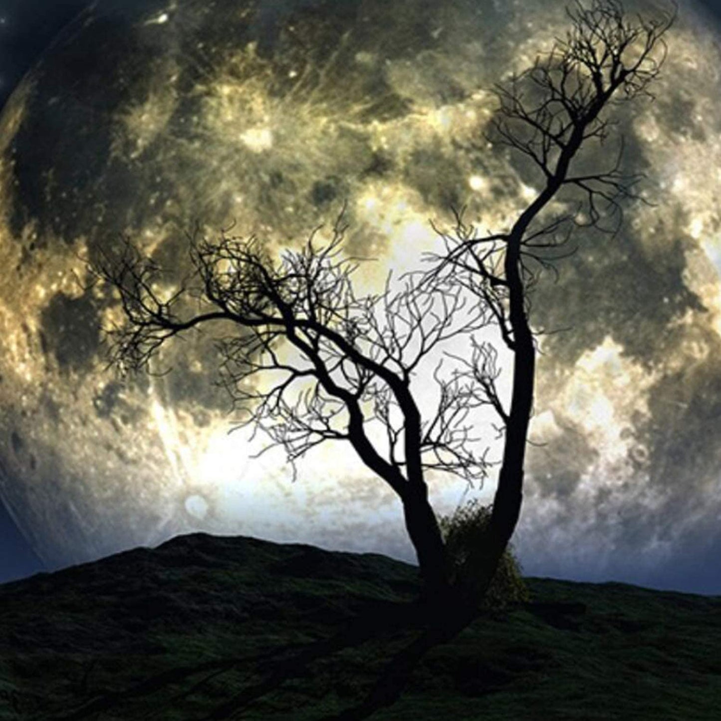 Starry Sky and Moon Tapestry - 51.2x59.1 Inch Galaxy and Tree Wall Hanging for Home Decor