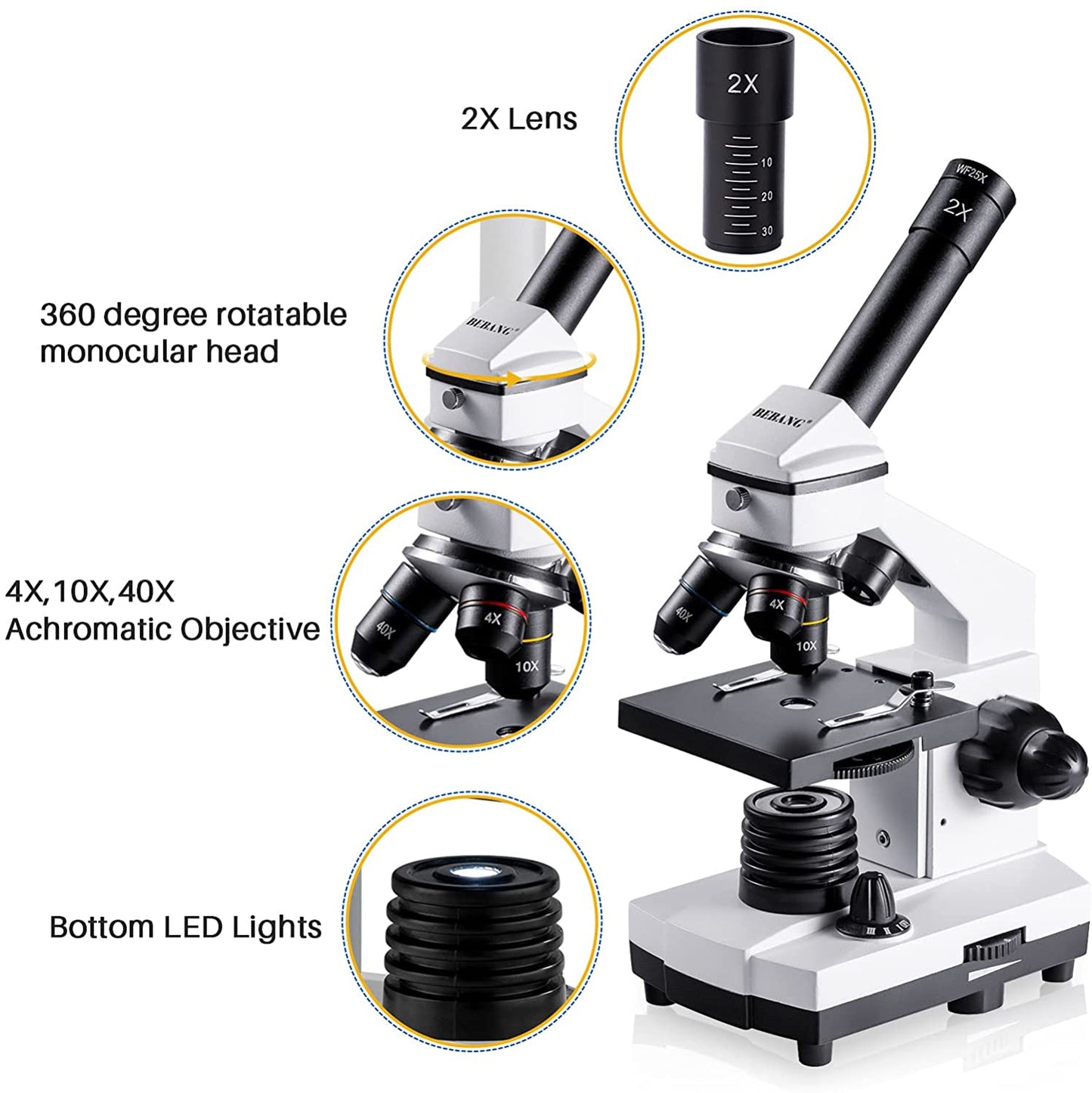 Compound Microscope for Adults and Kids, 100X-2000X Magnification, Microscope Kit with Microscope Slides, Ideal for Students, Home School, and Lab Use