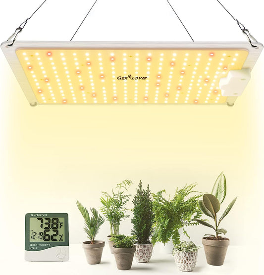 1000W Full Spectrum LED Grow Light with Thermometer Humidity Monitor for Indoor Plants - Sunlike Growing Lamps for Hydroponic Seedling Veg and Greenhouse Flower, 3x3ft Coverage